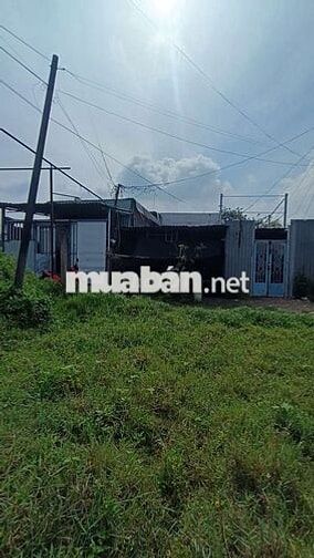 Cho Thuê nhà Vườn 260m . có nhà 60m .. Ấp 55 xã Vĩnh Lộc B bình c
