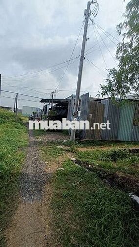 Cho Thuê nhà Vườn 260m . có nhà 60m .. Ấp 55 xã Vĩnh Lộc B bình c