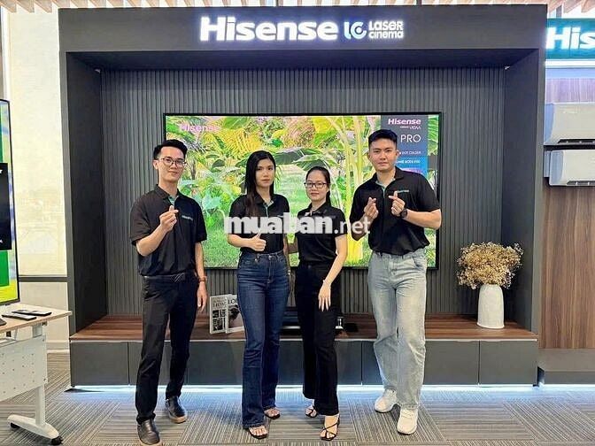 HISENSE TUYỂN DỤNG NVBH TẠI HẢI PHÒNG