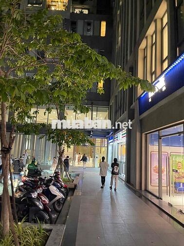 cần cho thuê căn chung cư The Pegasuite tạ quang bửu