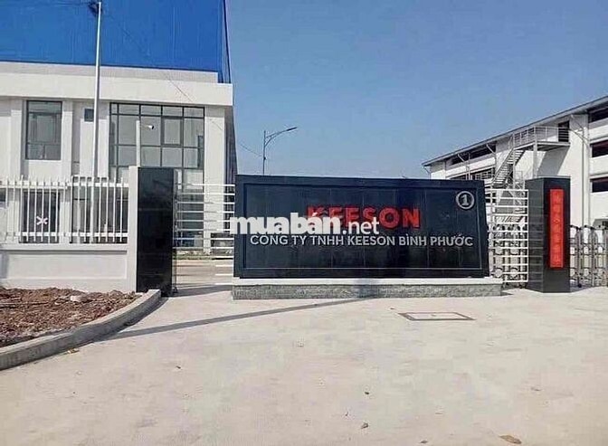 Tuyển dụng công nhân thời vụ cty keeson
