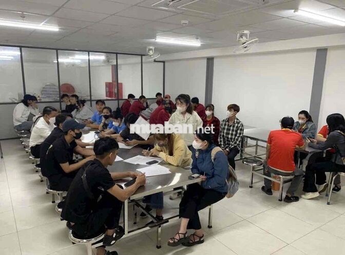 Tuyển dụng công nhân thời vụ cty keeson