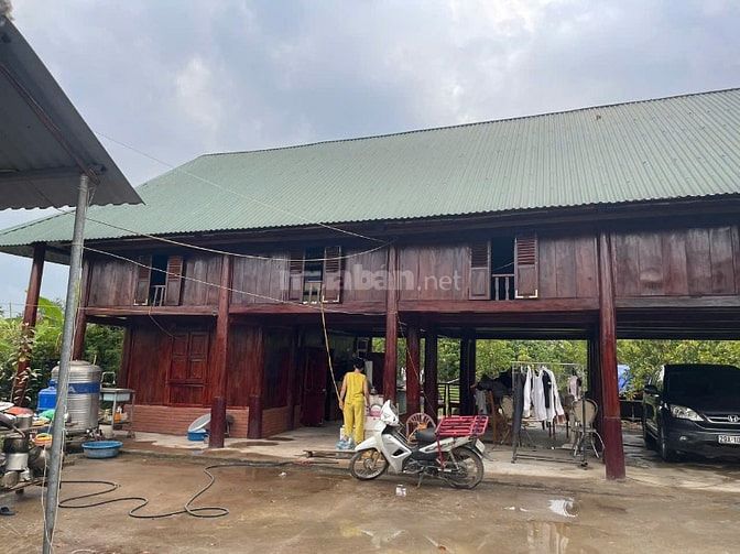 Cho thuê nhà sàn diện tích đất 2000 m2 có nhà sàn DT 200 m2, MT 46m, s
