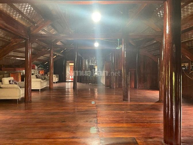 Cho thuê nhà sàn diện tích đất 2000 m2 có nhà sàn DT 200 m2, MT 46m, s