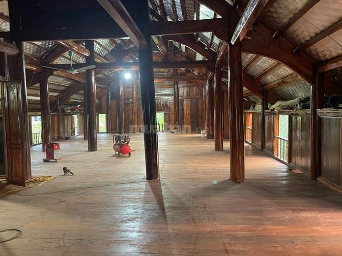 Cho thuê nhà sàn diện tích đất 2000 m2 có nhà sàn DT 200 m2, MT 46m, s