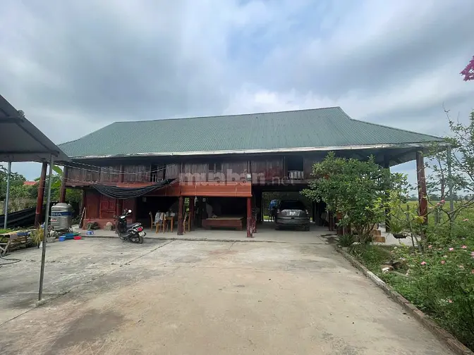 Cho thuê nhà sàn diện tích đất 2000 m2 có nhà sàn DT 200 m2, MT 46m, s