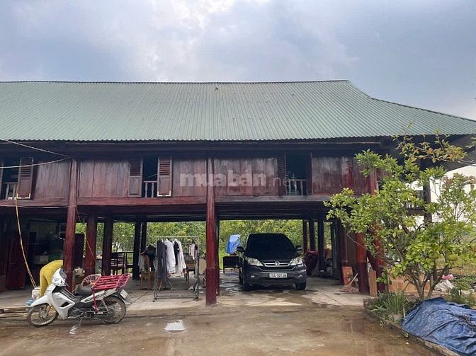 Cho thuê nhà sàn diện tích đất 2000 m2 có nhà sàn DT 200 m2, MT 46m, s