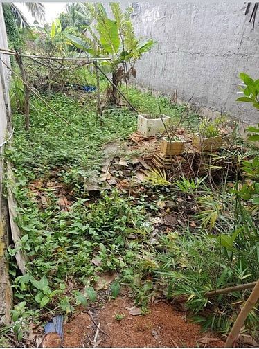 bán nền full thổ cư , sổ hồng riêng , giá rẻ chỉ 780tr  kcn thịnh phát
