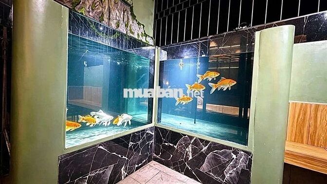 Cần Bán Nhà Mặt Tiền Tặng Lại Full Nội Thất