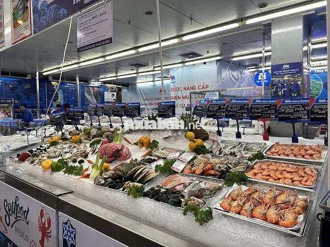 [QUẬN 12] TUYỂN NHÂN VIÊN THU NGÂN