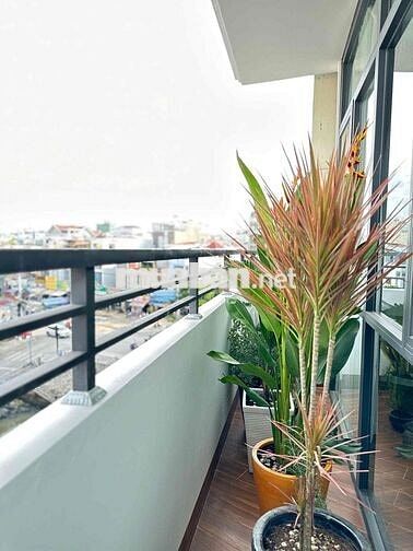 Hót 1PN tách bếp view kinh Ngay Dương Quảng Hàm, GV Thang Máy, 40m2