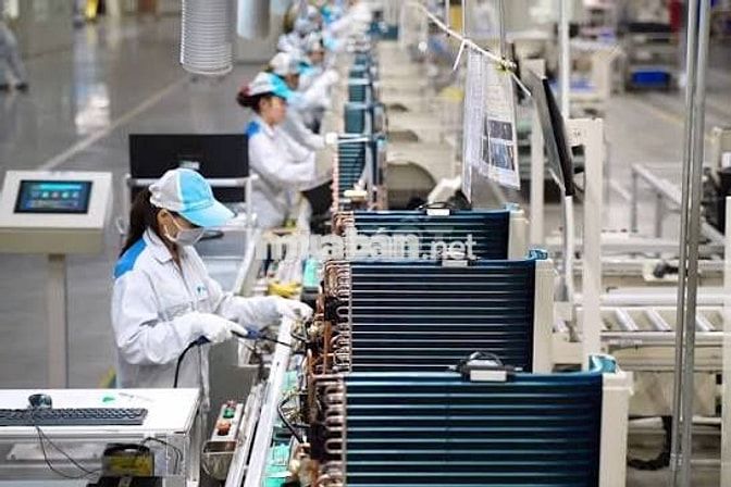 NV SẢN XUẤT-CÓ THÂM NIÊN-HOÀN TIỀN HỒ SƠ-LCB 5tr9