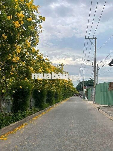 5x18m trệt lầu 2pn full Nội thất TL37 hẻm ô tô gần trường cấp 1,2,3