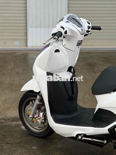 Honda Lead 4V Trắng