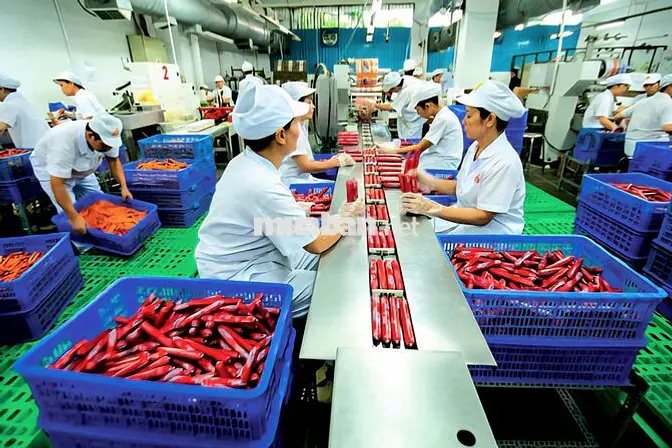 NHÂN VIÊN CHẾ BIẾN VISSAN_ BAO CƠM_ THƯỞNG 2TR2