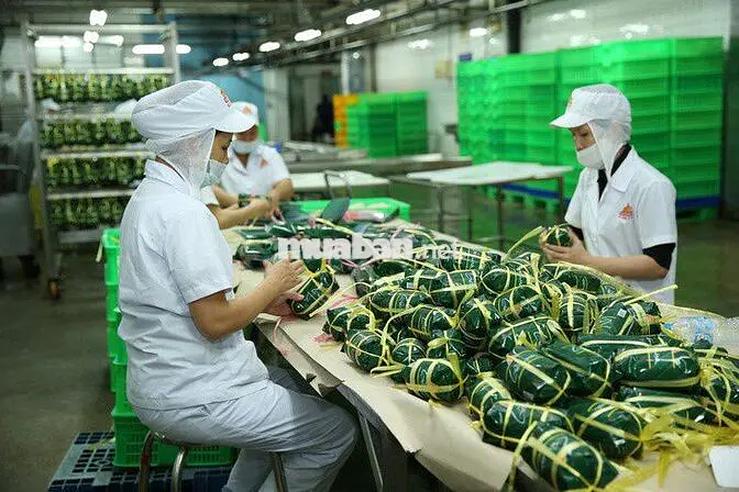 NHÂN VIÊN CHẾ BIẾN VISSAN_ BAO CƠM_ THƯỞNG 2TR2