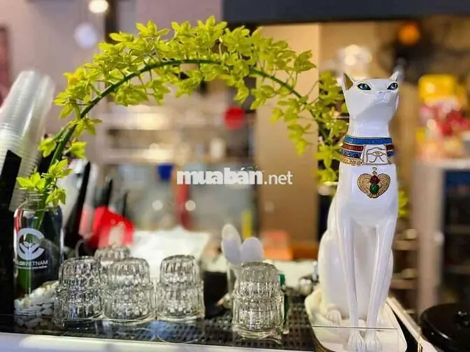 NaVy Coffee Tân Bình- Tuyển NV Phục Vụ
