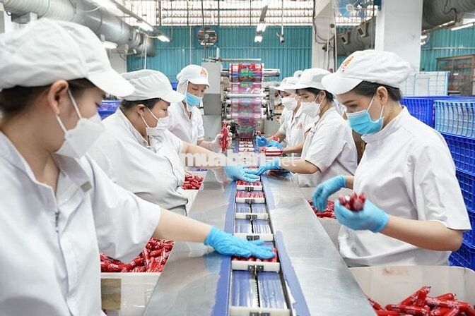 NAM-NỮ THỜI VỤ THƯỞNG 2TR2, BAO CƠM, LƯƠNG TUẦN 
