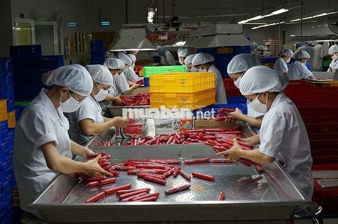 NAM-NỮ THỜI VỤ THƯỞNG 2TR2, BAO CƠM, LƯƠNG TUẦN 