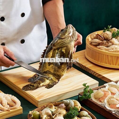 THỦ DẦU MỘT TUYỂN 5 THỚT/ PHỤ BẾP LƯƠNG CAO TÍP ỔN
