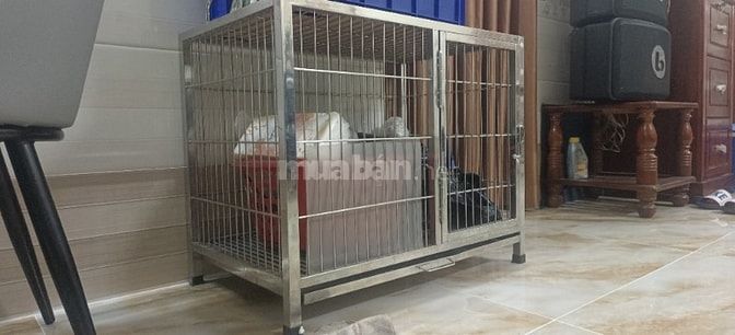 Thamh lí chuồng chó ưu tiên thủ đức 