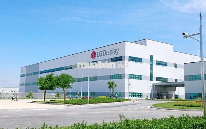LGDISPLAY THỜI VỤ - THƯỞNG 8TR - HỒ SƠ MIỄN PHÍ