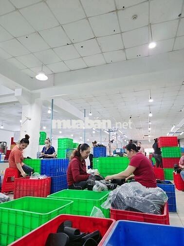 TUYỂN NAM/NỮ  LĐPT ( 18-42 Tuổi )