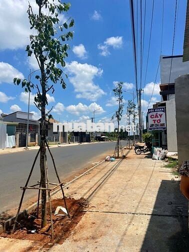 BÁN ĐẤT MẶT TIỀN PHAN HUY CHÚ – VỊ TRÍ ĐẸP, TIỀM NĂNG TĂNG GIÁ