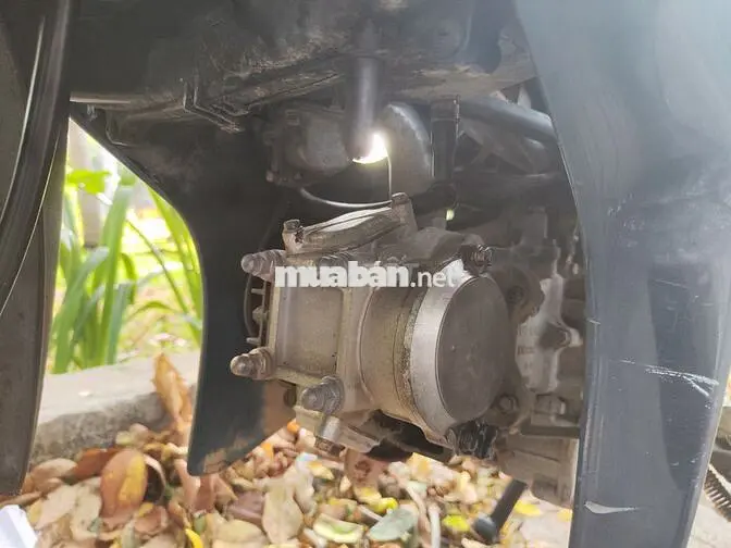 Su revo thái  bs 65 đầu nồi chưa rớt thắng đĩa