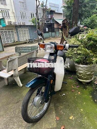 Honda 50cc