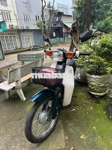 Honda 50cc