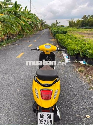Vera S 50cc Tự động Vàng 5000 km