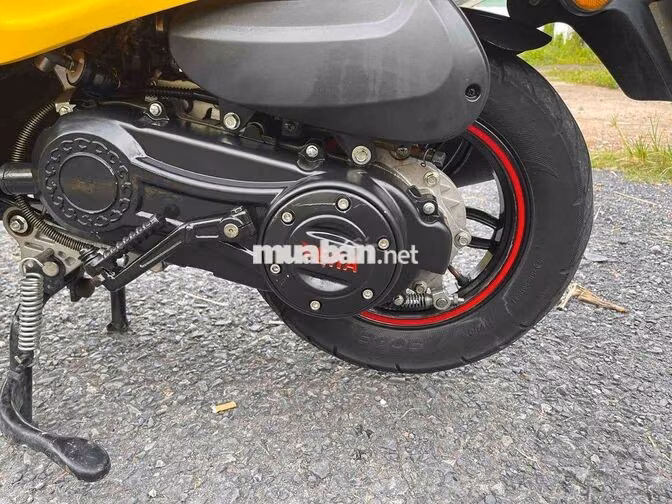 Vera S 50cc Tự động Vàng 5000 km
