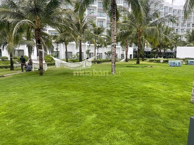 Cho thuê căn hộ mặt biển bãi dài