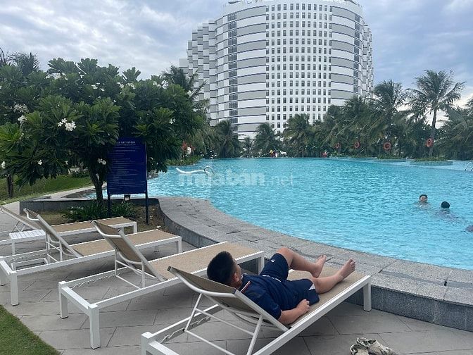 Cho thuê căn hộ mặt biển bãi dài