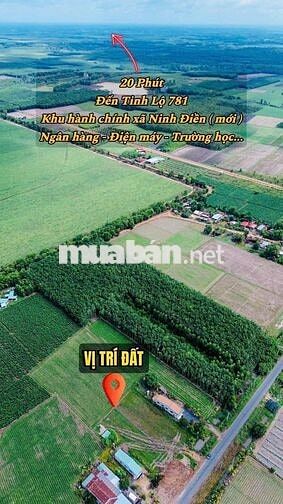 đất 5322m đường Long Phước Ninh điền
