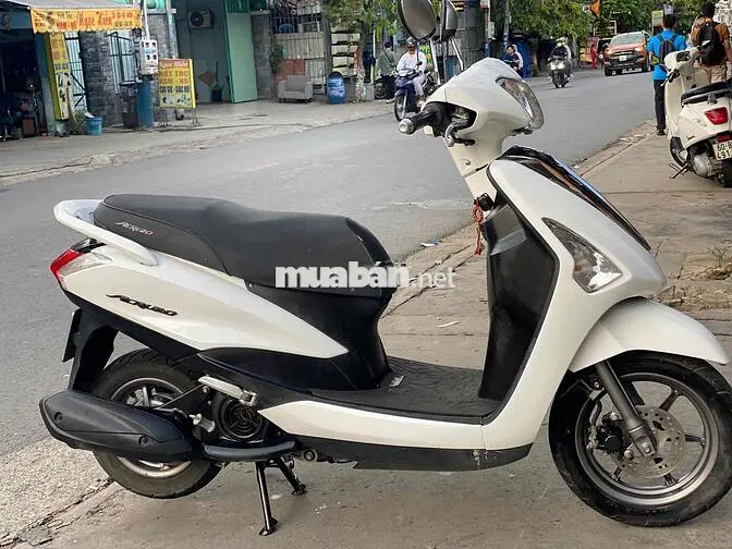 Yamaha Acruzo Trắng