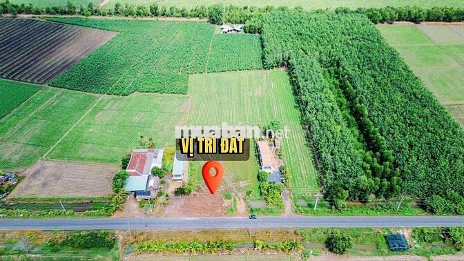 đất 5322m đường Long Phước Ninh điền