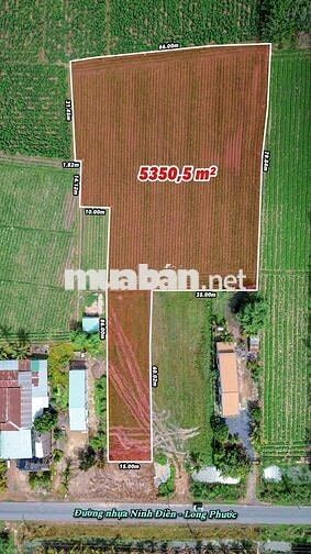 đất 5322m đường Long Phước Ninh điền