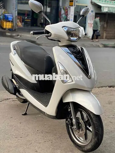 Yamaha Acruzo Trắng