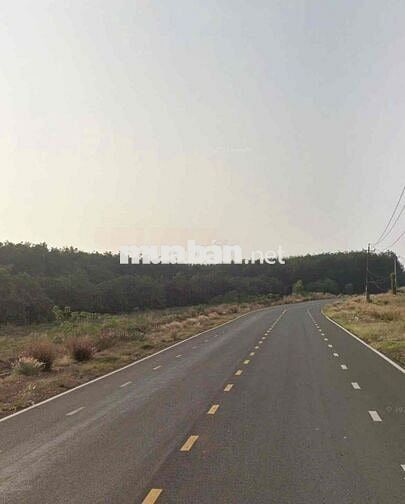 Đất Tân Lợi mặt đường nhựa DH Tân lợi- Tân hoà 32m