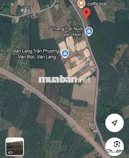 Đất Tân Lợi mặt đường nhựa DH Tân lợi- Tân hoà 32m