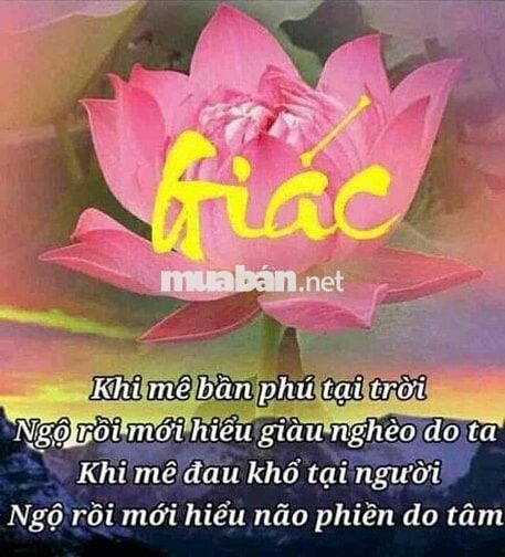 cho thuê kho 10x50 khu trung sơn giá rẻ