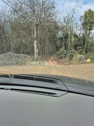 Công ty Đấu giá hợp danh Lam Sơn Sài Gòn THÔNG BÁO ĐẤU GIÁ TÀI SẢN