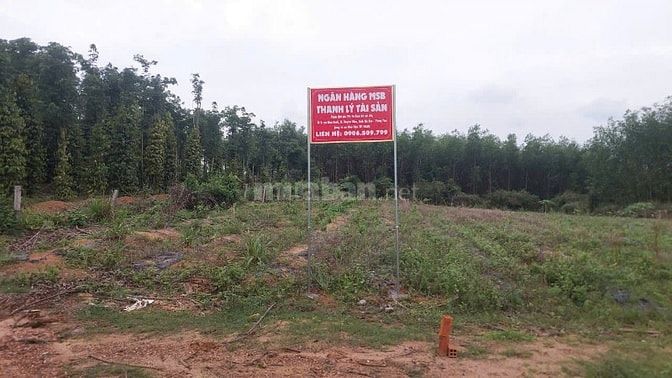 Công ty Đấu giá hợp danh Lam Sơn Sài Gòn THÔNG BÁO ĐẤU GIÁ TÀI SẢN
