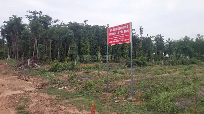 Công ty Đấu giá hợp danh Lam Sơn Sài Gòn THÔNG BÁO ĐẤU GIÁ TÀI SẢN