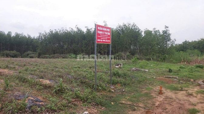 Công ty Đấu giá hợp danh Lam Sơn Sài Gòn THÔNG BÁO ĐẤU GIÁ TÀI SẢN