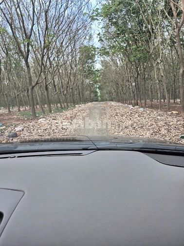 Công ty Đấu giá hợp danh Lam Sơn Sài Gòn THÔNG BÁO ĐẤU GIÁ TÀI SẢN