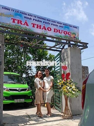 Tuyển NPP trà thảo dược, trà thái nguyên