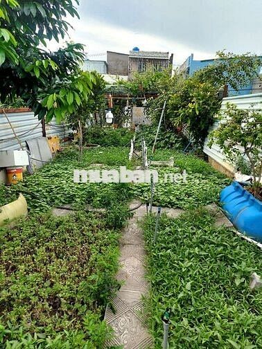 bán đất tx14 phường thạnh xuân giá 1 tỷ 150 triệu